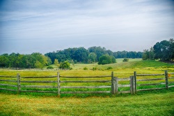 meyers farm